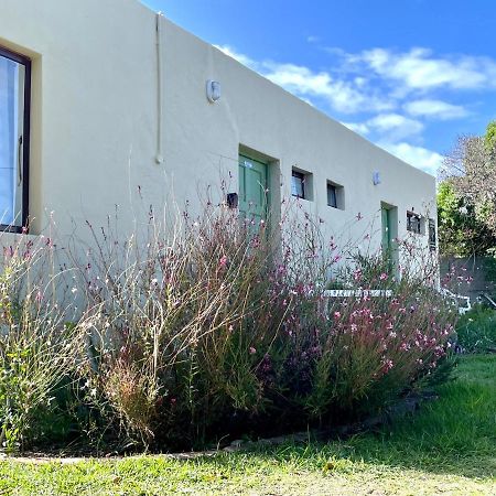 גנסבאי Kelp Cottage מראה חיצוני תמונה