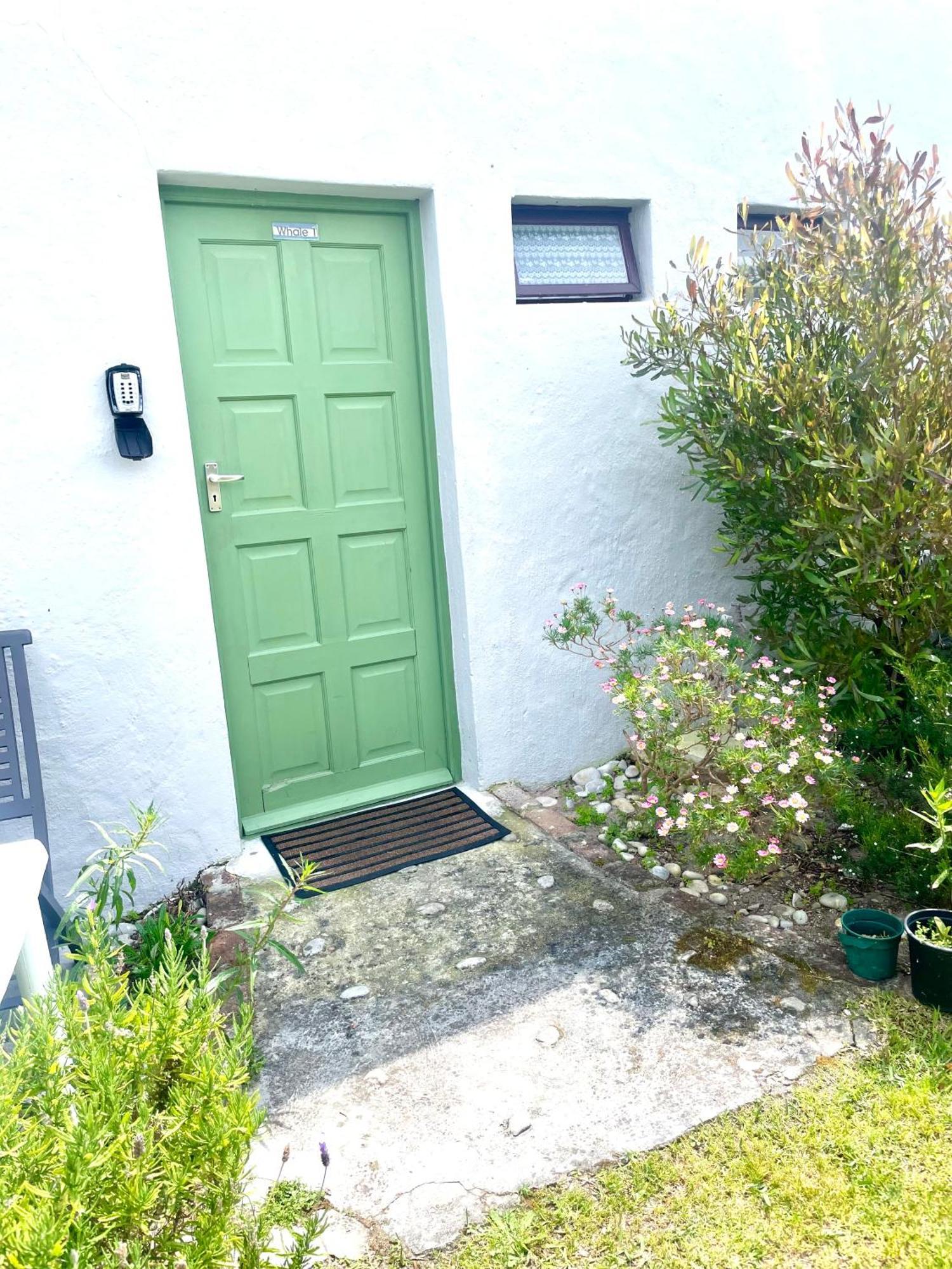 גנסבאי Kelp Cottage מראה חיצוני תמונה