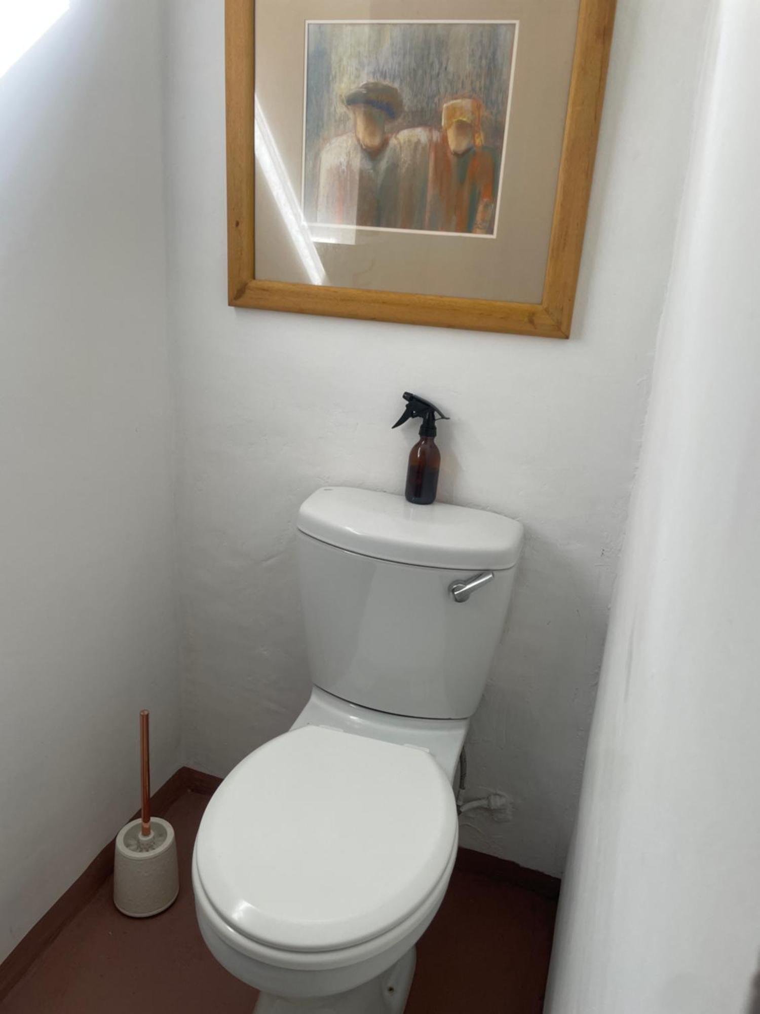 גנסבאי Kelp Cottage מראה חיצוני תמונה